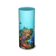 Korall szóróhenger